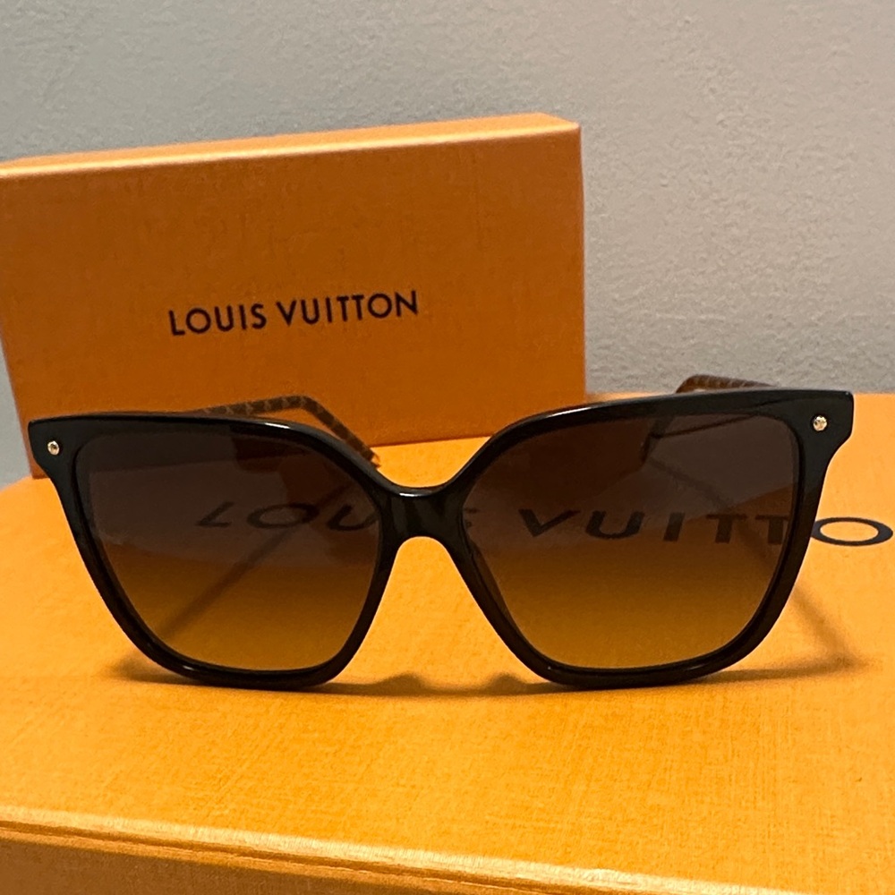 Louis Vuitton Black and Brown Sunglasses